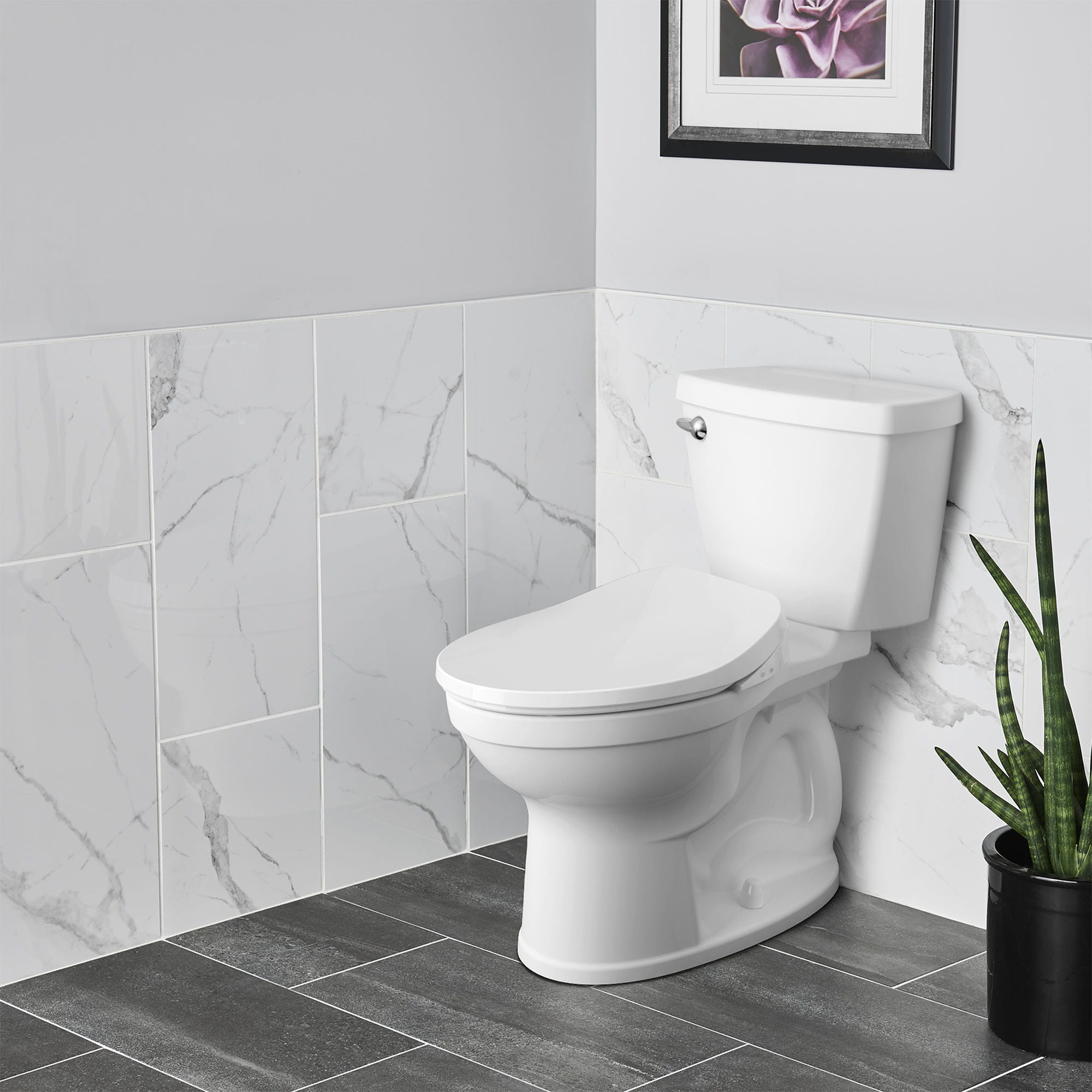 AquaWash® 2.0 SpaLet® Bidet Seat and Titan Chair Height Elongated 1.6